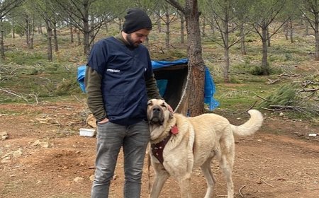 Antalya Büyükşehir Belediyesi  veterinerleri Gaziantep'te