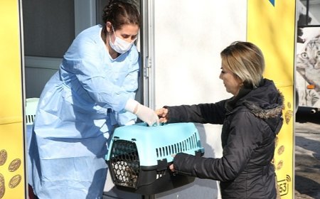 Sokak kedilerine kısırlaştırma karavanı