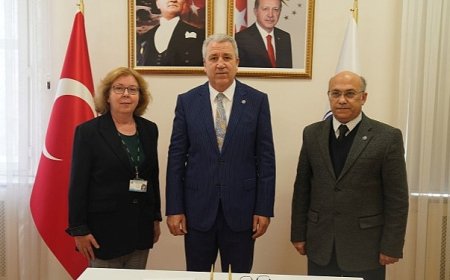 Türk ve Japon bilim insanlarından eklembacaklı kaynaklı hastalıklara karşı ortak mücadele