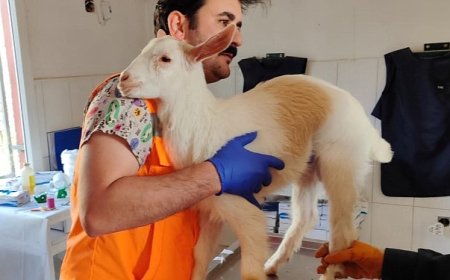 Keçiören Belediyesi Binlerce Afetzede Canlıyı Tedavi Etti